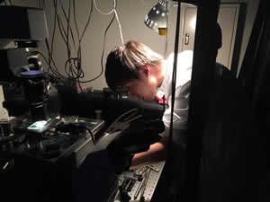 Lab